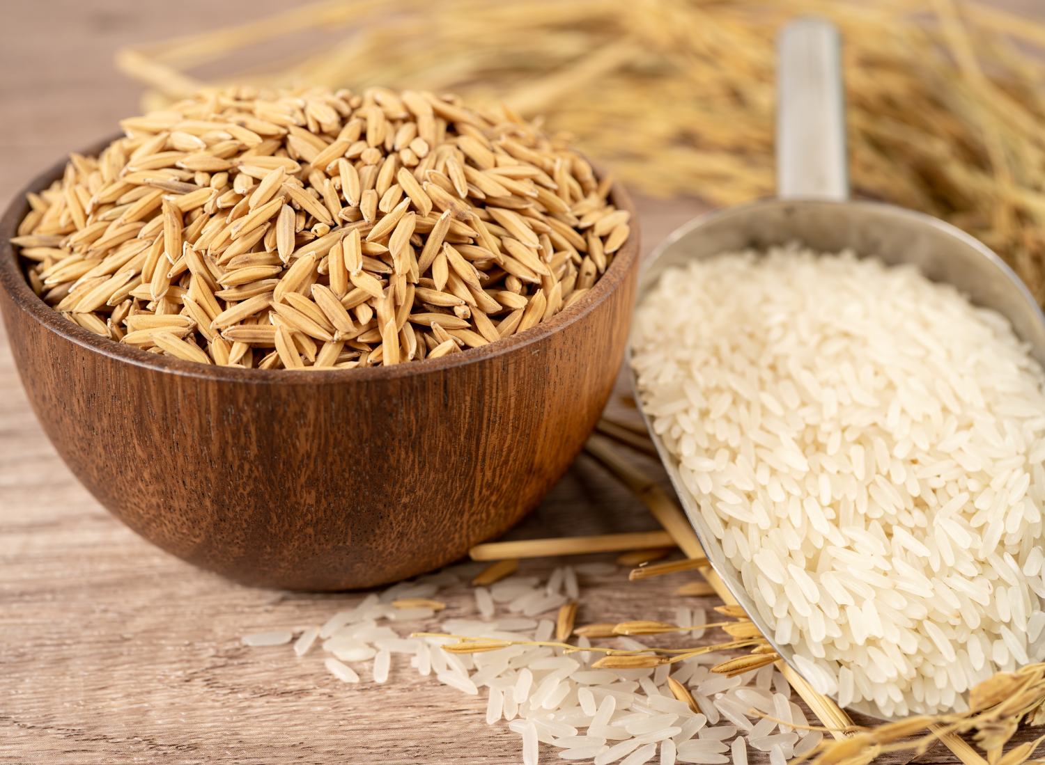 Palakkadan Matta Rice Is Kerala