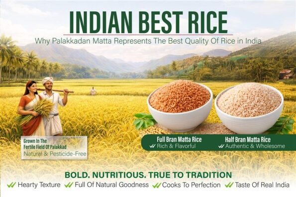 Best Quality of Rice in India, Indian Best Rice